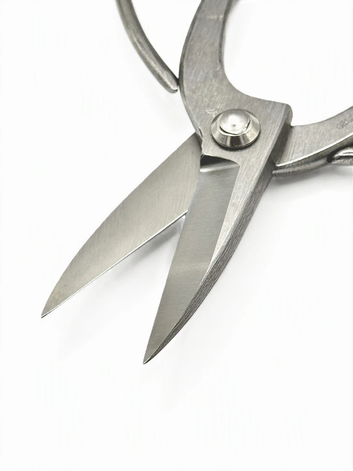 Sakagen Bonsai Shears - Okubo - 180mm Close Up