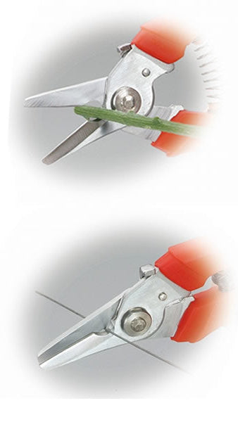 Red-handled pruning shears with close-up inset on a white background