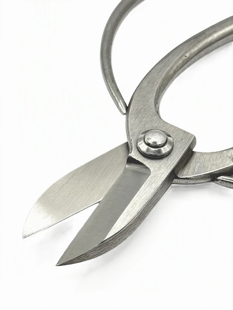 Sakagen Ikebana Scissors - Koryu - 165mm Close Up