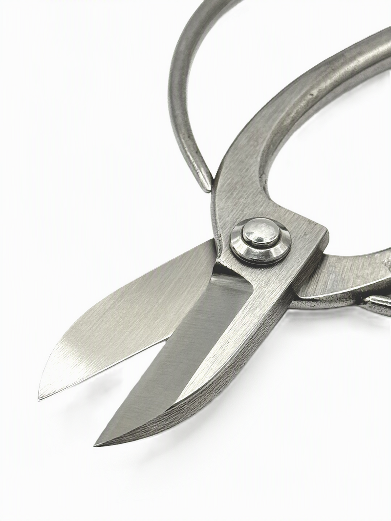 Sakagen Ikebana Scissors - Koryu - 165mm Open
